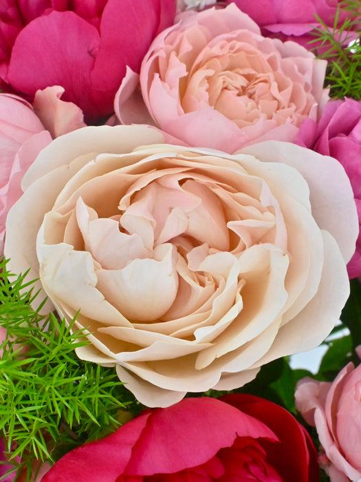 Unforgettable Bloom