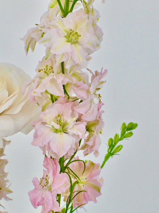 Baby Pink Garden