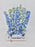 Delphy Blue Money Arrangement