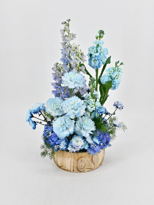 Blue Garden