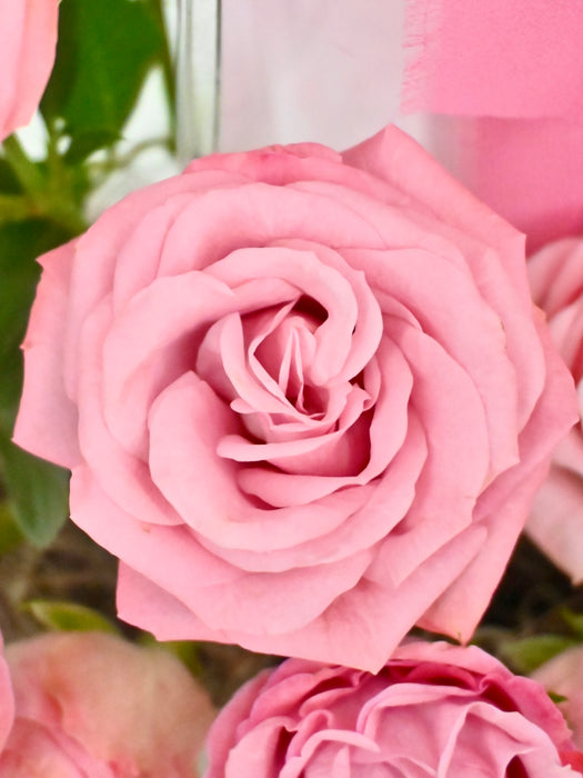 Pink Candy Garden