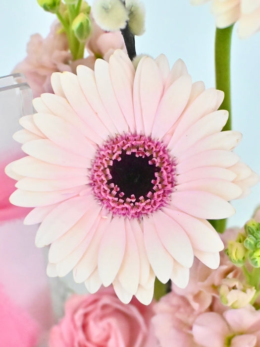 Pink Candy Garden