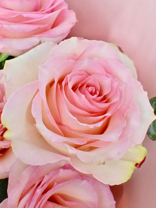 Ezpe Pink Garden Bouquet