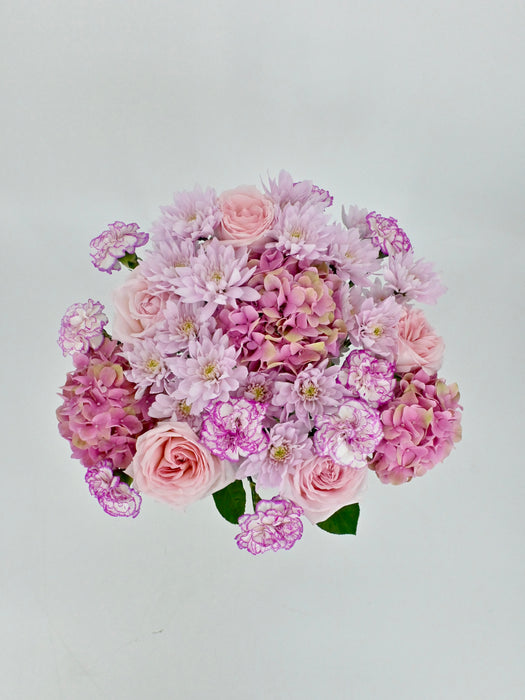 Calming Pink