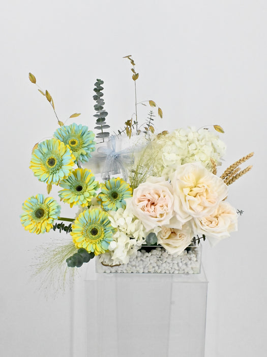 Westeros Garden Money Arrangement