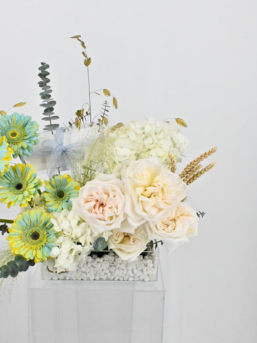 Westeros Garden Money Arrangement