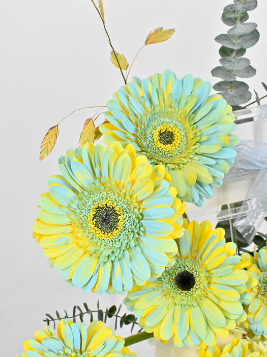 Westeros Garden Money Arrangement