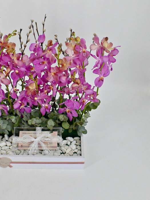 Orchids