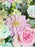 Maisy Garden