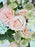 Maisy Garden