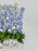 Delphinium Money Arrangement