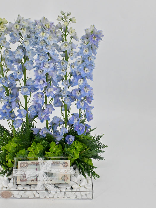 Delphinium Money Arrangement