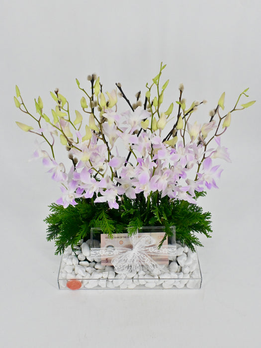 Dendrobium