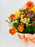 Vibrance Bouquet