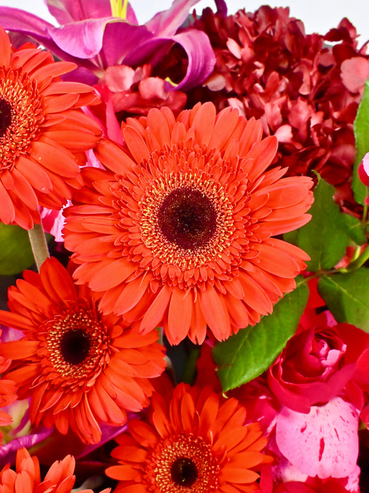 Vibrant Teresse