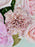 Blossoming Pink