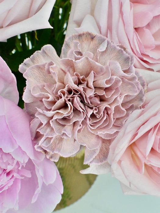 Blossoming Pink