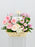 Pinkywhite Basket Money Garden