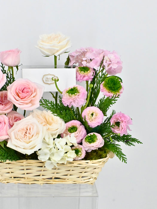 Pinkywhite Basket Money Garden