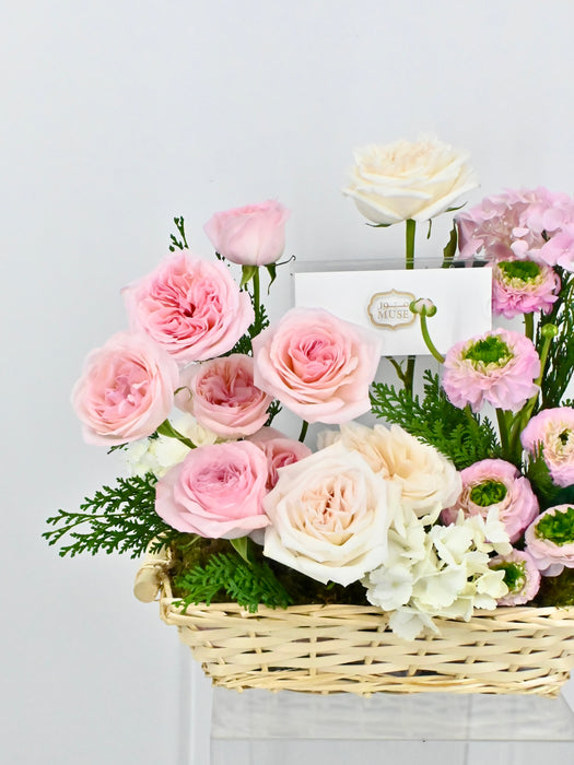 Pinkywhite Basket Money Garden
