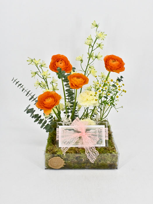 Vibrance Garden Money Arrangement