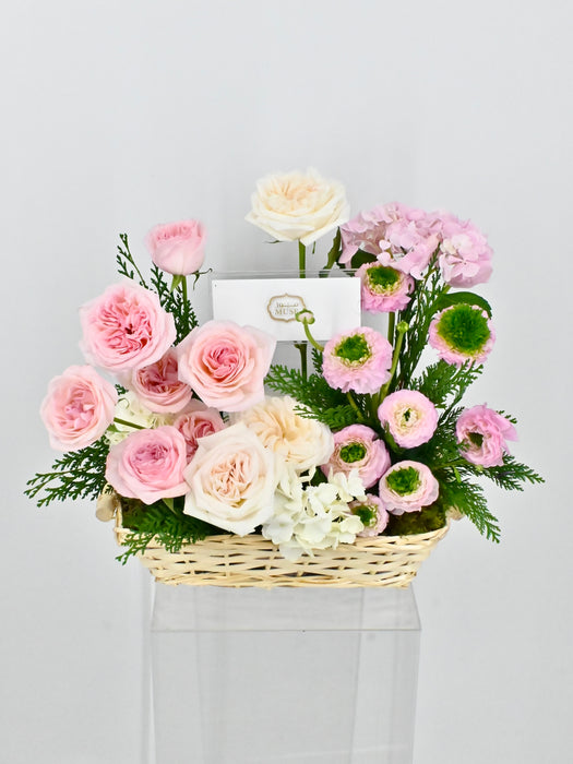 Pinkywhite Basket Money Garden