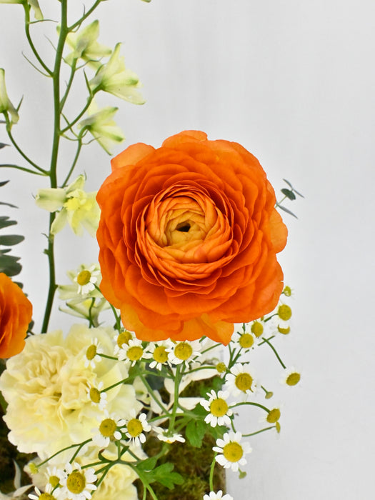 Vibrance Garden Money Arrangement