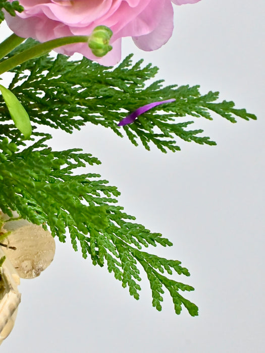 Pinkywhite Basket Money Garden