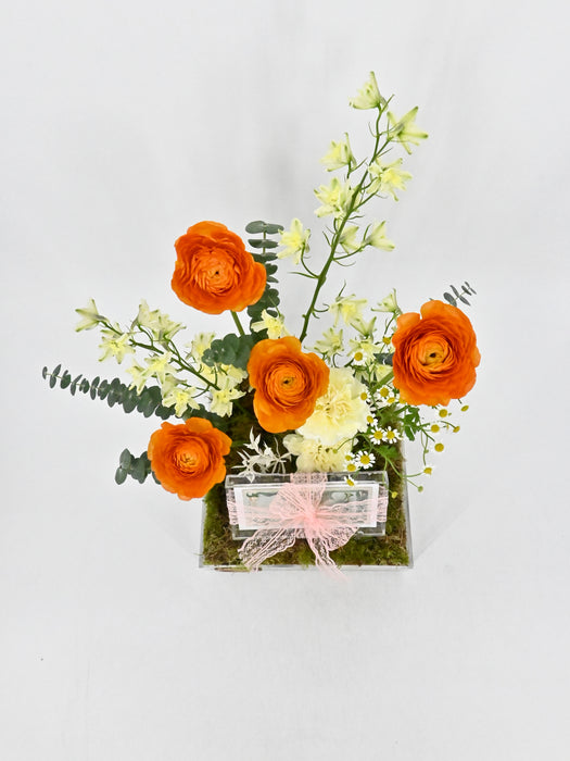 Vibrance Garden Money Arrangement