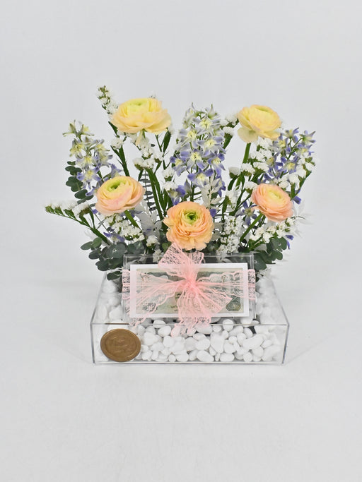 Serenity Money Arrangement