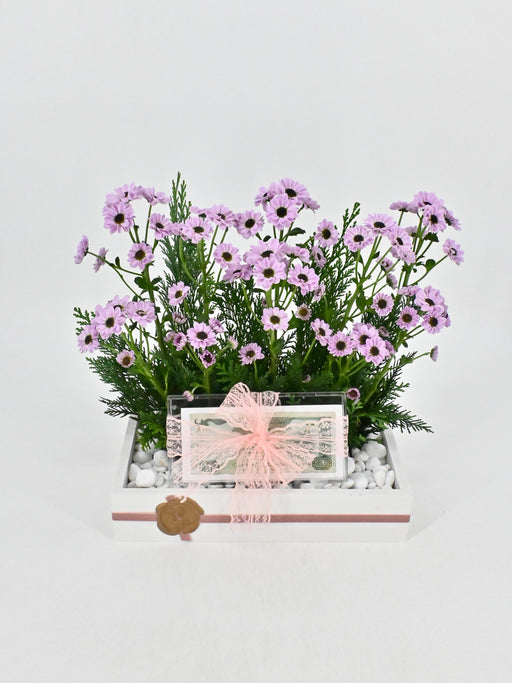 Santini Money Arrangement