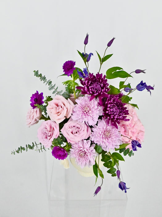 Rossano Faith Flower Bloom