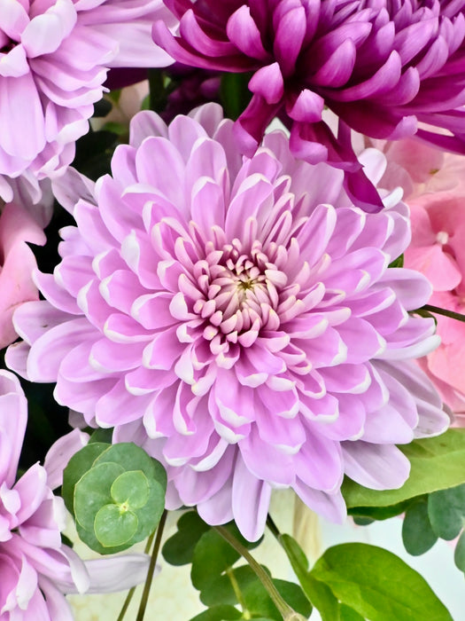 Rossano Faith Flower Bloom