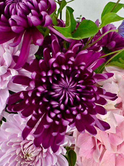 Rossano Faith Flower Bloom