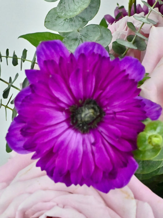 Rossano Faith Flower Bloom