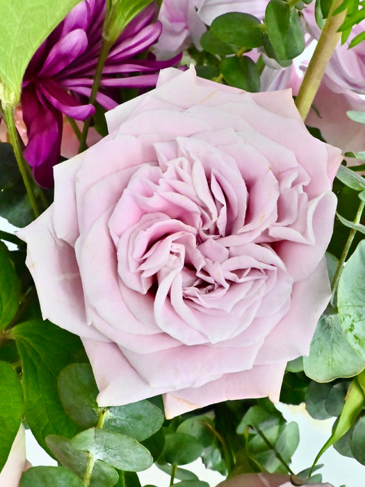 Rossano Faith Flower Bloom
