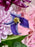 Rossano Faith Flower Bloom