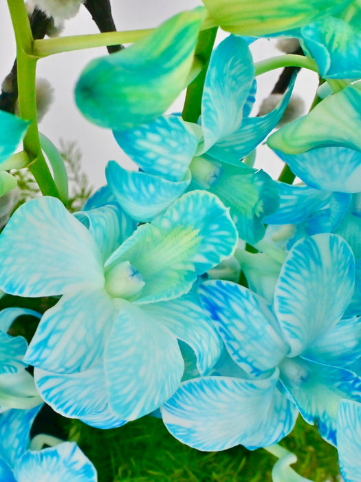 Blue Orchid Money Arrangement