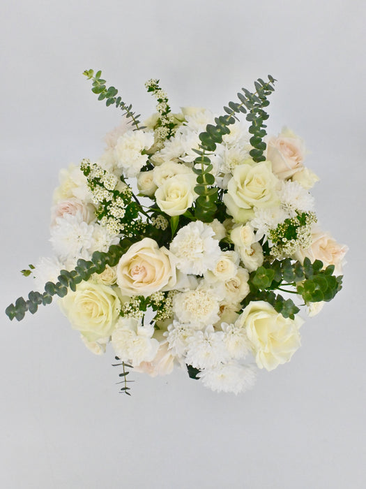 Spirea Snowmountain