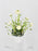 Rani White Garden