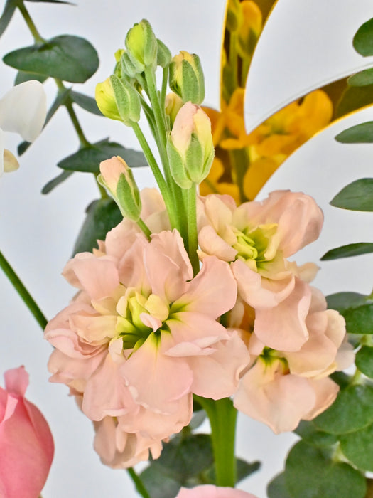 Peachy Garden with Small box od Patchi Chocolates
