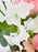 Peachy Garden with Small box od Patchi Chocolates