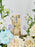 Campy Garden