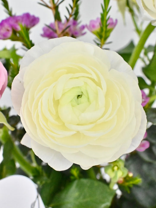 Mom Flower Garden