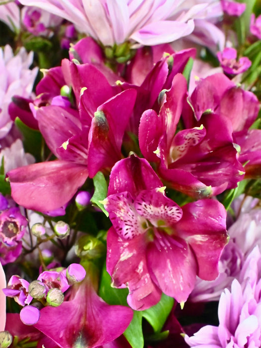 Jupiter Kalimba Bouquet