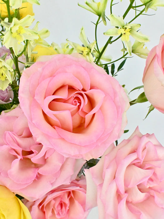 Pastel Love