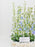 Blue Delphiniums