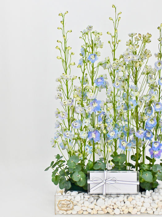 Blue Delphiniums