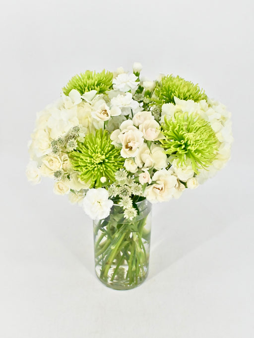 Mint Bloom