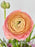 Peach Rani Garden Vase